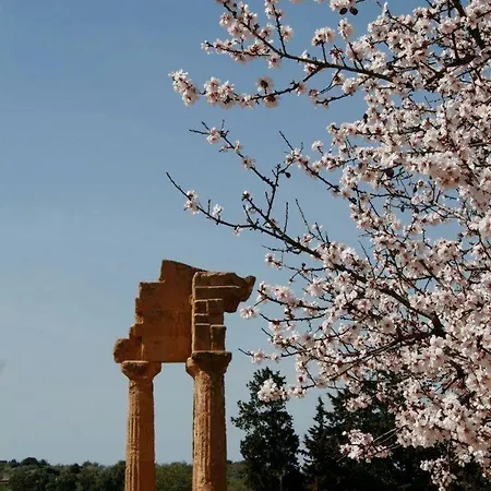 Casa Di Luca Bed & Breakfast Agrigento Exterior photo