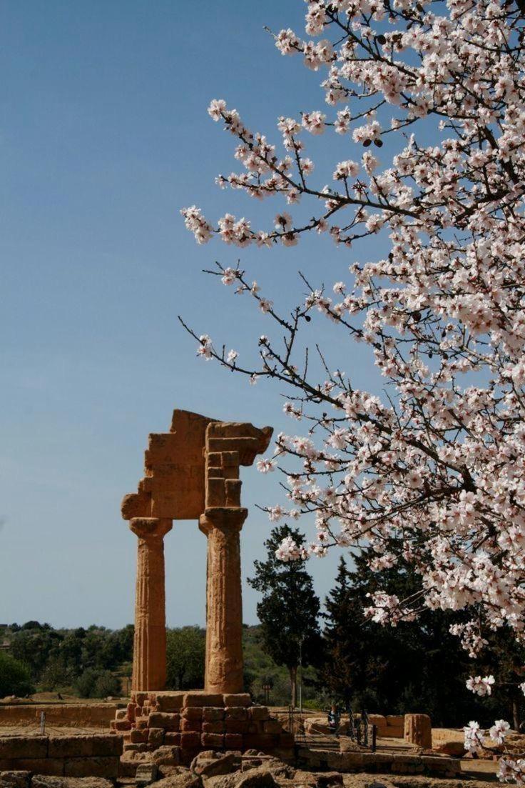 Casa Di Luca * Agrigento